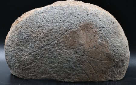 Sefertepe’de Bir Öğütme Taşına Yavru Domuz Çizilmiş