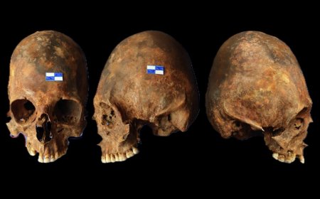 Antik Romalılar Engelli Bireyleri Gerçekten Terk Etti mi?