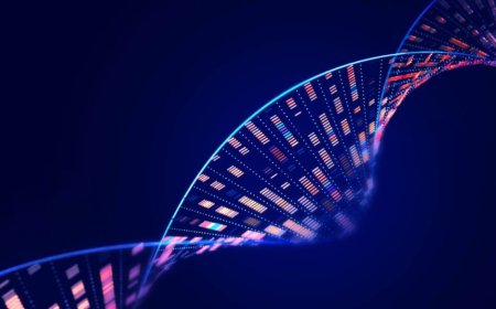 12.000 Yıllık Kemiklerden DNA Çıkarmanın Bilimi: Kaybolmuş Türleri ve Tarihin Karanlık Sırlarını Aydınlatan Teknoloji