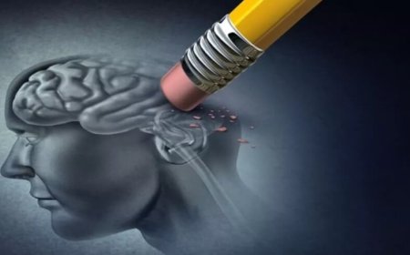 Sinaptik budama hafızamızda nasıl yeni yerler açıyor?