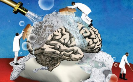 Uyku ile Alzheimer Plaklarının Temizlenmesi Mümkün mü?