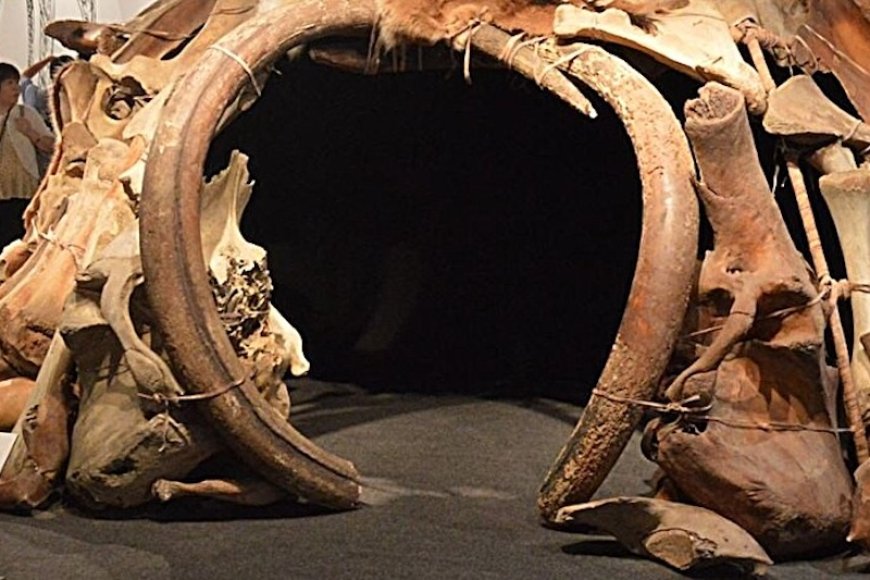 İnsanlar Buzul Çağında Mamut Kemiklerinden Yapı Yapıyordu